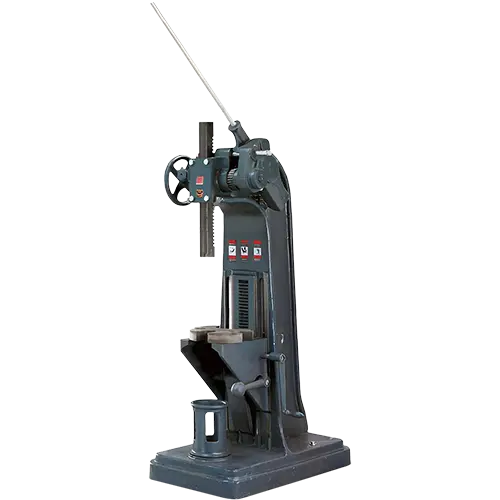 Model 5